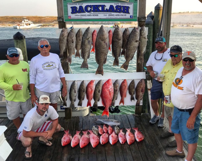 BAA9477D-223B-44DA-B7BD-07789172FF9F